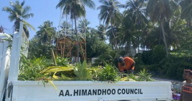 މަގުތައް ކޮށުން