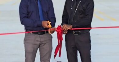 އެއްގަމު އުޅަނދު ލައިސަންސްގެ ޚިދުމަތް ދިނުން