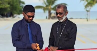 އެއްގަމު އުޅަނދު ލައިސަންސްގެ ޚިދުމަތް ދިނުން